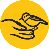 Giving icon, bird feeding from a hand